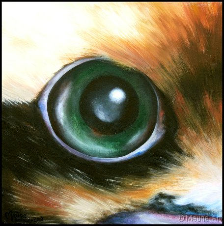Augenblick eines Kookaburra Acryl auf Leinwand;
30 x 30 cm
